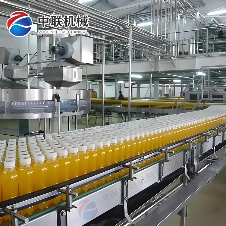 全自動(dòng)圣女果飲料生產(chǎn)線(xiàn)設(shè)備